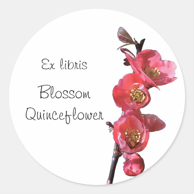 Sticker Rond Brochure autocollante en coing rose (Devant)