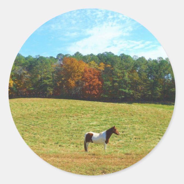 Sticker Rond Brown & cheval blanc, arbres d'automne, ciel bleu (Devant)