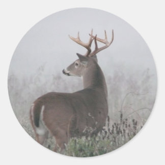 Sticker Rond bruiser