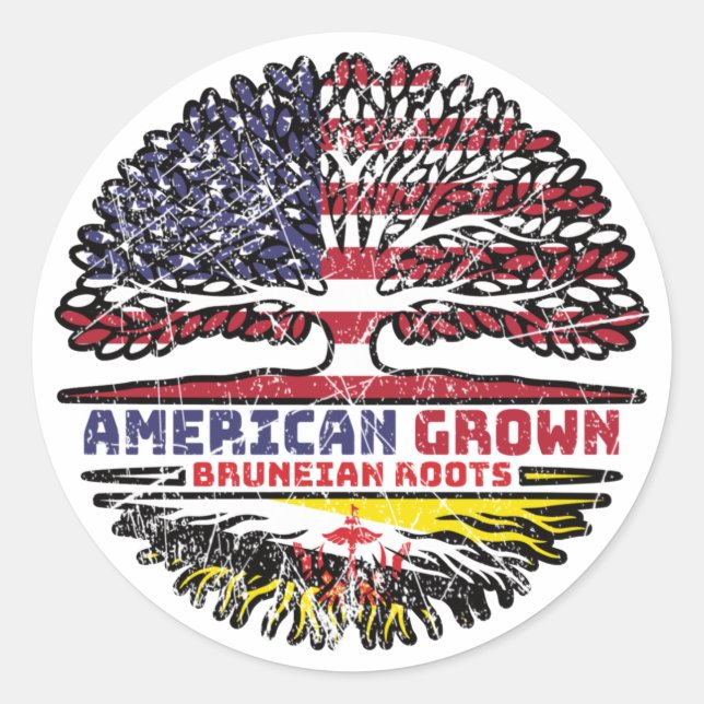 Sticker Rond Brunei Brunéi Américain Etats-Unis Drapeau des rac (Devant)