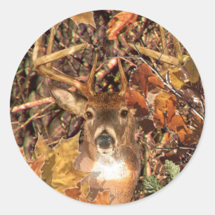 Sticker Rond Buck in Camo White Tail Deer