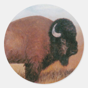 Sticker Rond Buffalo