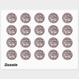 Sticker Rond Buffalo Nickel