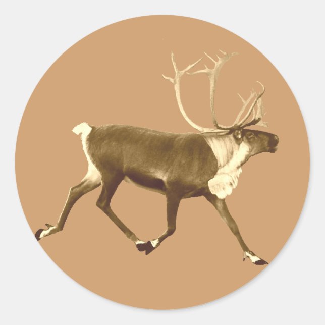 Sticker Rond Bull Caribou - Sepia (Devant)