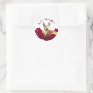 Sticker Rond Bull terrier avec rose - Bonjour belle