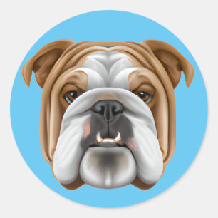 Sticker Rond Bulldog anglais