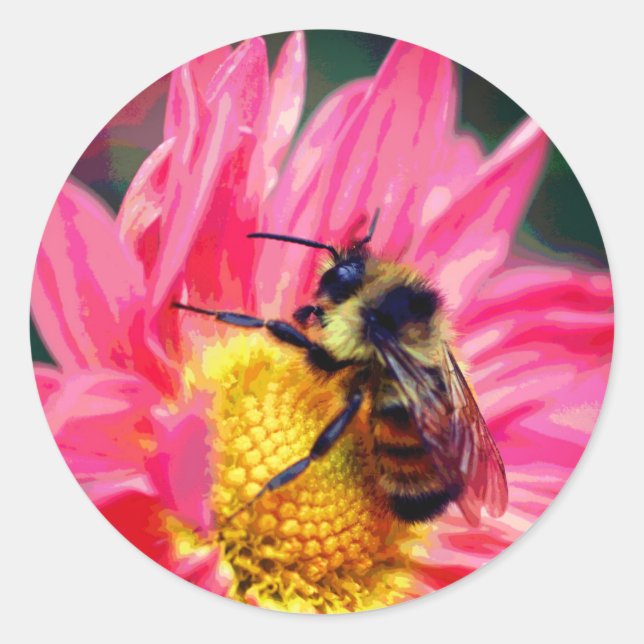Sticker Rond Bumble Bee On Daisy Flower Art (Devant)