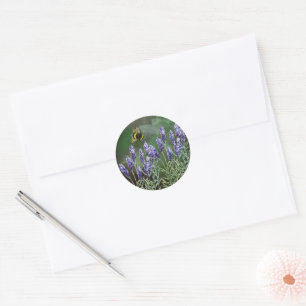 STICKER ROND BUMBLEBEE