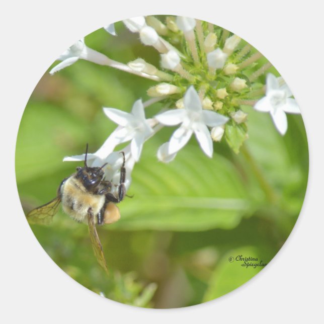 Sticker Rond Bumblebee & fleurs (Devant)