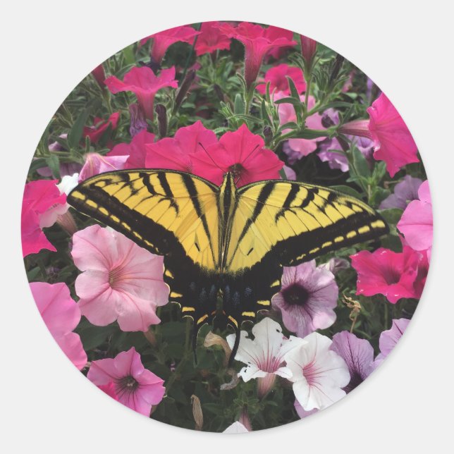 Sticker Rond Butterfly on Pink Petunia Flowers Springtime (Devant)