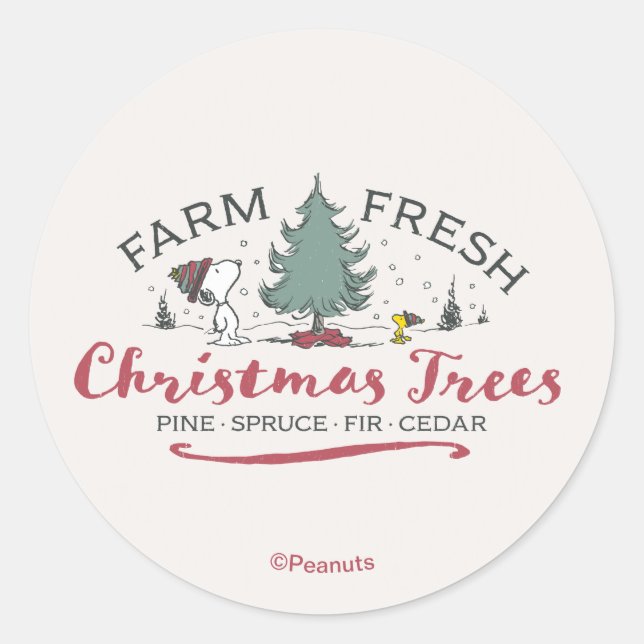 Sticker Rond cacahuètes | Arbres de Noël frais de ferme (Devant)