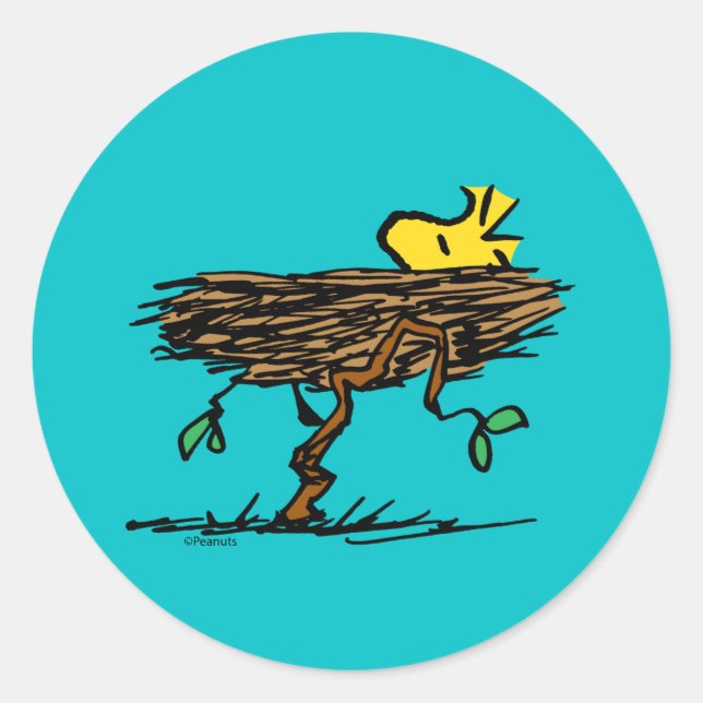Sticker Rond cacahuètes | Carénage de bois (Devant)