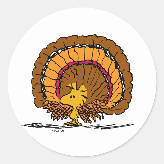 Sticker Rond cacahuètes | Woodstock Turquie (Devant)