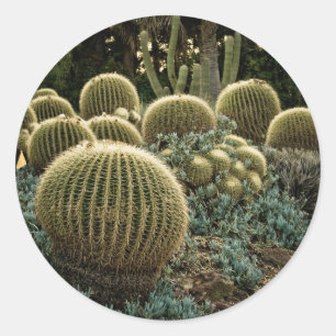 Sticker Rond Cactus