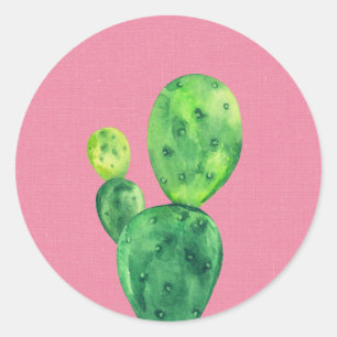 Sticker Rond Cactus aquarelle sur rose. Succulent mignon vert