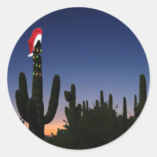 Sticker Rond Cactus de Noël