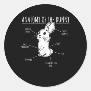 Sticker Rond Cadeau lapin Anatomie De Lapin Mignonne Rabbit Am