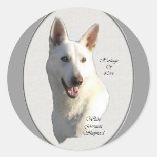 Sticker Rond Cadeaux bergers allemands blancs