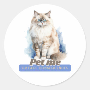 Sticker Rond Cadeaux Comical Kitten pour Amoureux de les chats