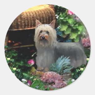 Sticker Rond Cadeaux d'art Silky Terrier
