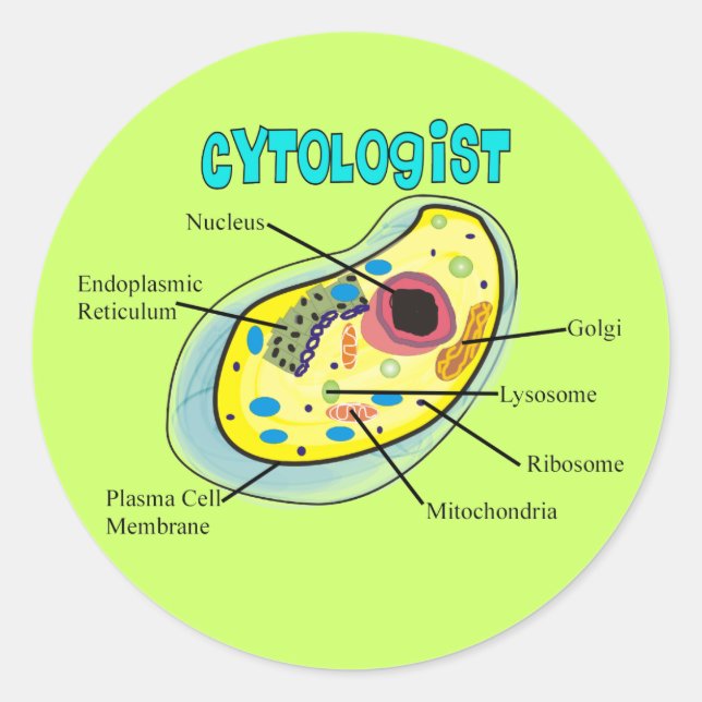 Sticker Rond Cadeaux de dessin de cellules humaines de cytologu (Devant)