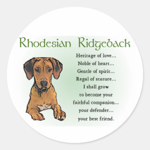 Sticker Rond Cadeaux de Rhodesian Ridgeback