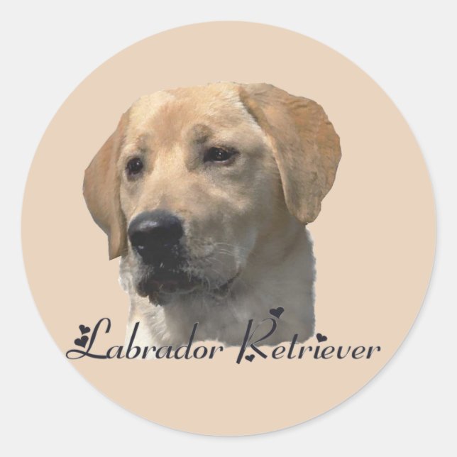 Sticker Rond Cadeaux du Labrador Retriever (Devant)