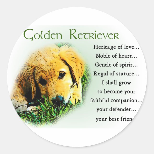 Sticker Rond Cadeaux Golden Retriever (Devant)