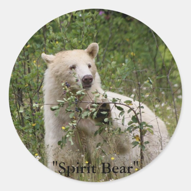 Sticker Rond Cadeaux "Ours d'Esprit" (Devant)