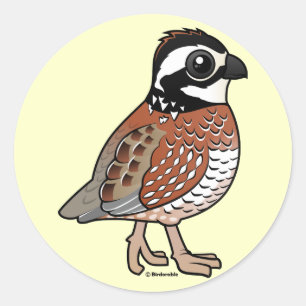 Sticker Rond Caille du nord