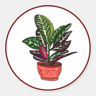 Sticker Rond Calathea Hand Drake Houseplant Art