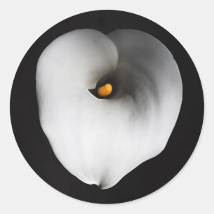 Sticker Rond calla blanche