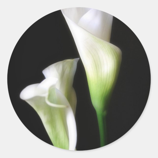 Sticker Rond Calla Lily 2 (Devant)