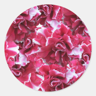 Sticker Rond Camelot Rouge Floral
