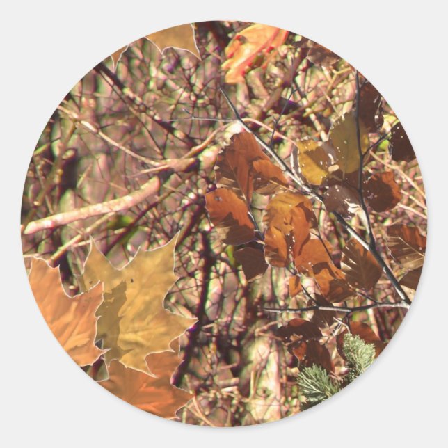 Sticker Rond Camouflage de Fall Forest Bush (Devant)