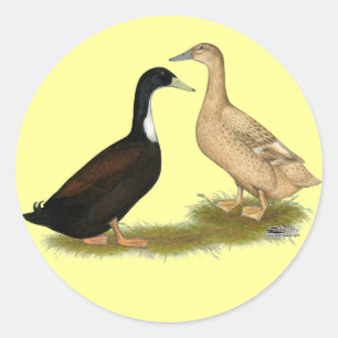 Sticker Rond Canard à couchage hybride