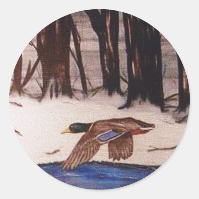 Sticker Rond Canard de Mallard dans le cours d'hiver (Devant)