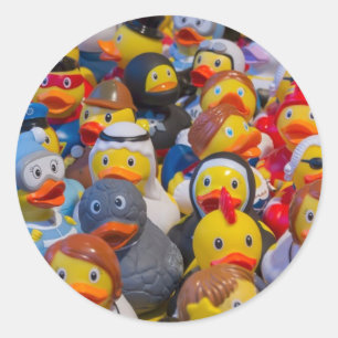 Sticker Rond Canards