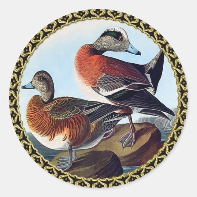 Sticker Rond Canards Widgeon américains sur une roche (Devant)