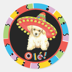 Sticker Rond Caniche de jouet de fiesta