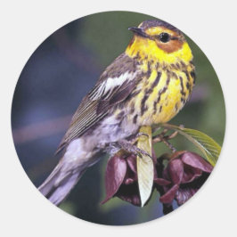 Sticker Rond Cap May Amateurs d'oiseaux de Paruline Cadeaux