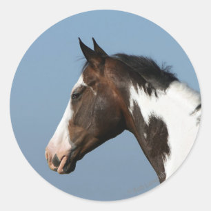 Sticker Rond Capture d'écran du Cheval de peinture 1