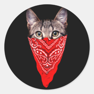 Sticker Rond Capuchon de chat
