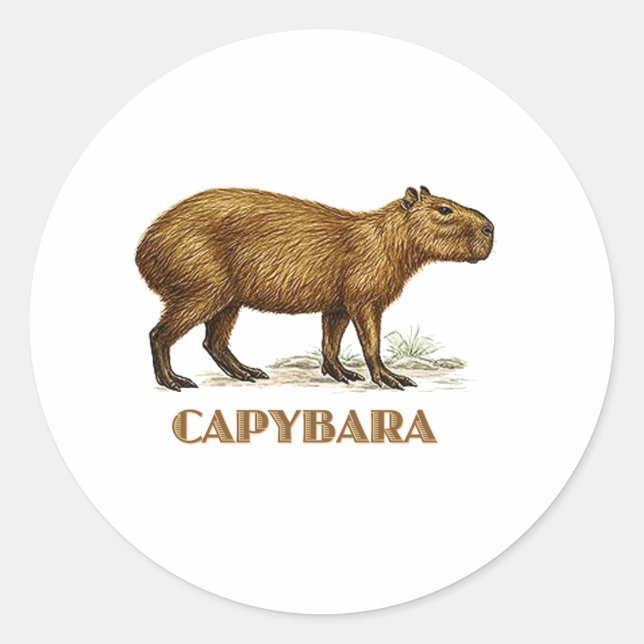 Sticker Rond capybara (Devant)