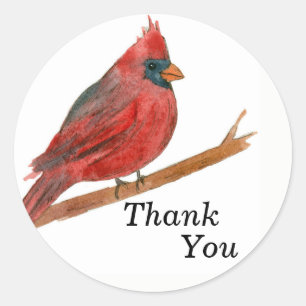 Sticker Rond Cardinal Bird Merci Aquarelle Faune