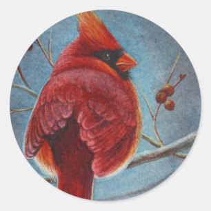 Sticker Rond Cardinal du Nord Baies d'oiseaux rouges Aquarelle