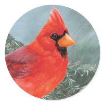 Cardinal homme fier