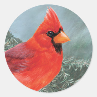 Sticker Rond Cardinal homme fier