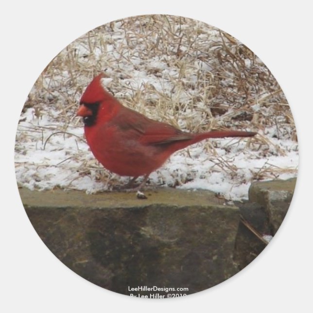 Sticker Rond Cardinal Hot Springs Nat. Cadeaux AR Park Mountain (Devant)