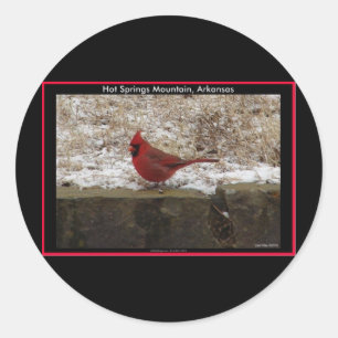 Sticker Rond Cardinal Hot Springs Nat. Park Mountain AR Cadeaux